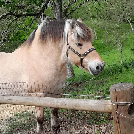 Les Granges D'antan - La Forge -