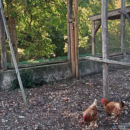 Hébergement de vacances Les Granges D'antan - La Forge - Chalonnes-Sous-le-Lude