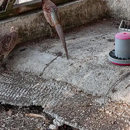 Les Granges D'antan - La Forge - Hébergement de vacances *
