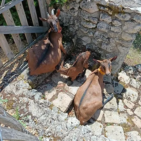 Les Granges D'antan - La Forge - Ferienhaus Chalonnes-Sous-le-Lude